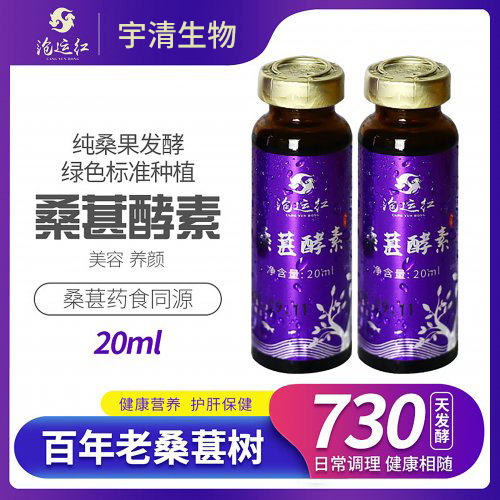 桑葚酵素瓶裝20ML